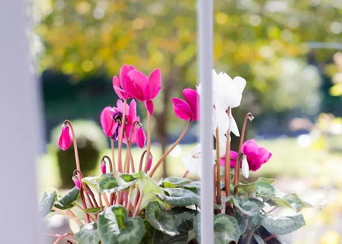 Apartament Lana Luxe